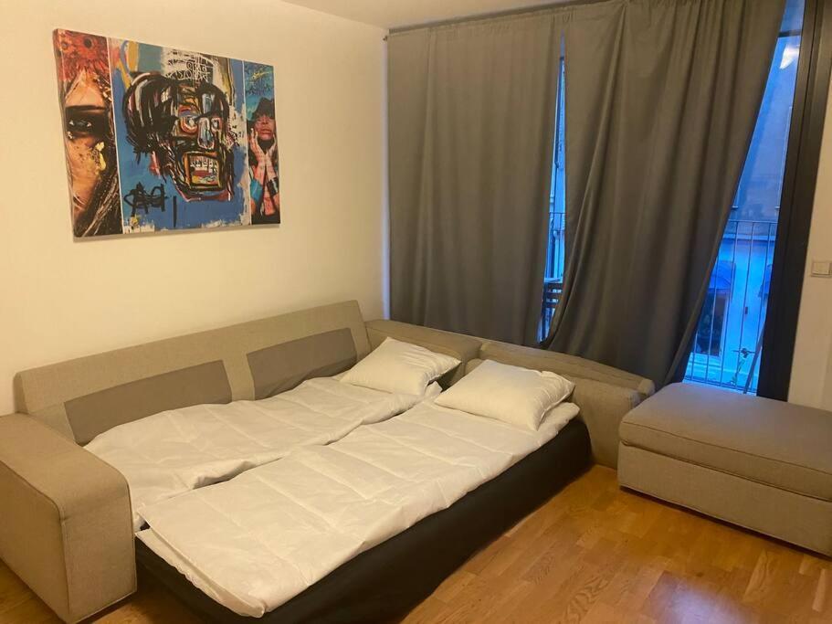 Leilighet Midt I Oslo Sentrum 2 Soverom Og Stue Luaran gambar